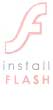 Install the latest Flash Player